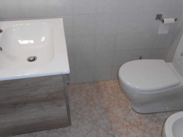 DSCN9220 (FILEminimizer) 1785485201 gallery 750x563